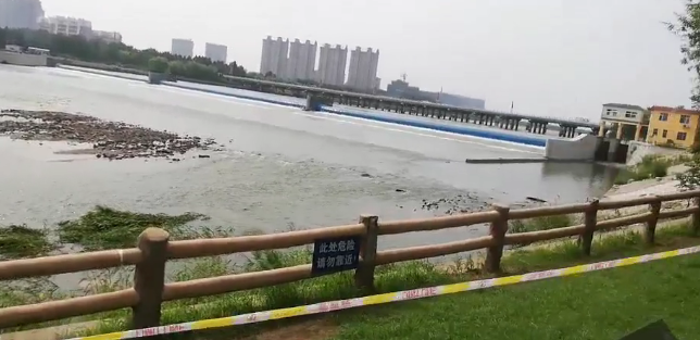 黄品汇绿巨人互动内容示例