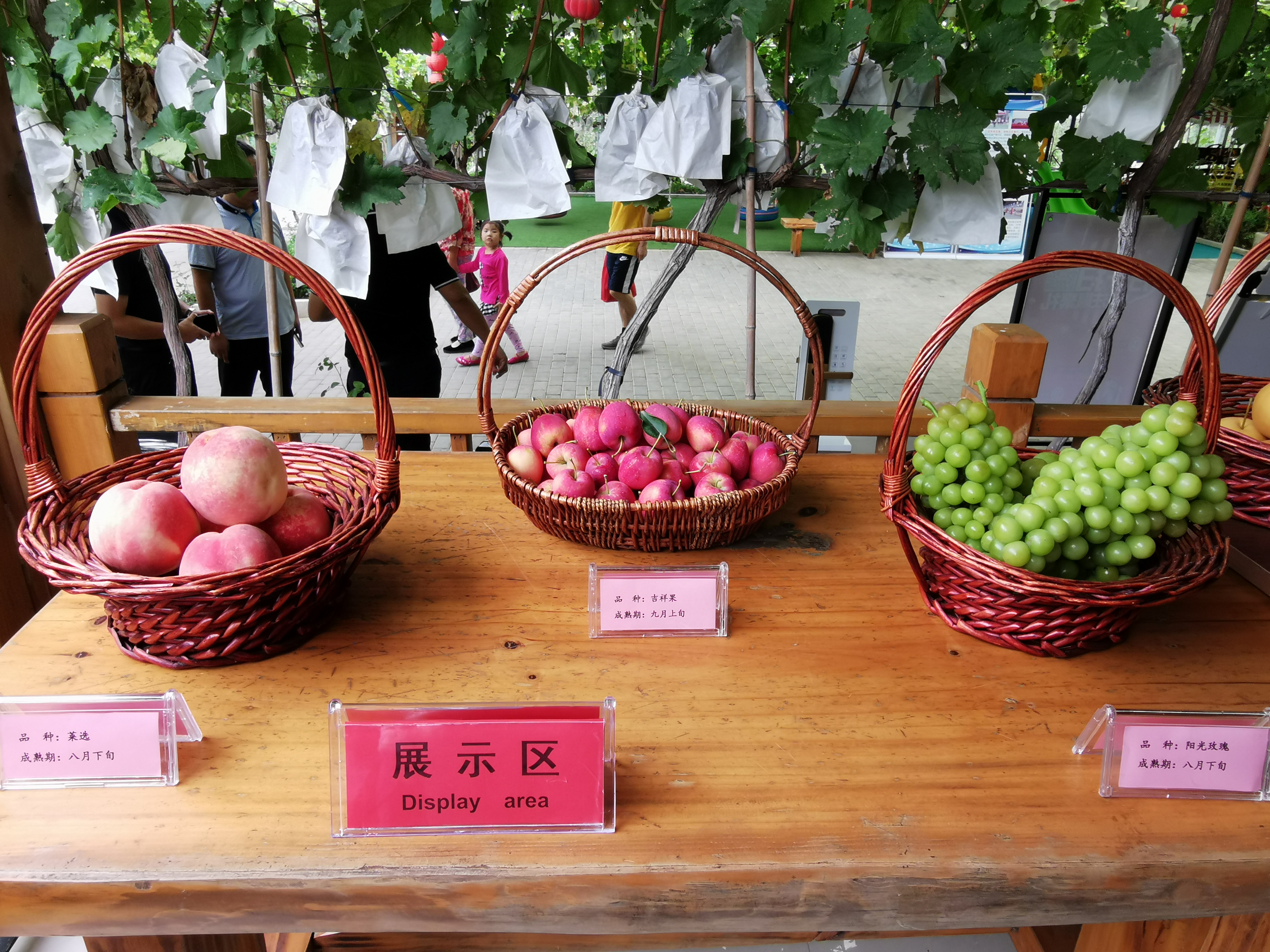 安全软件提醒