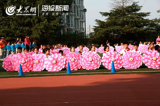 大雁编队飞行