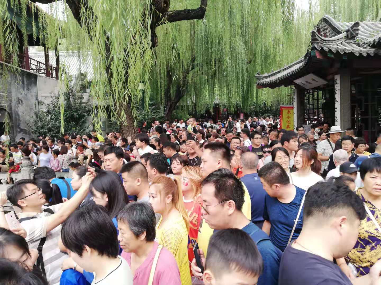 甘雨拔萝卜图片示例