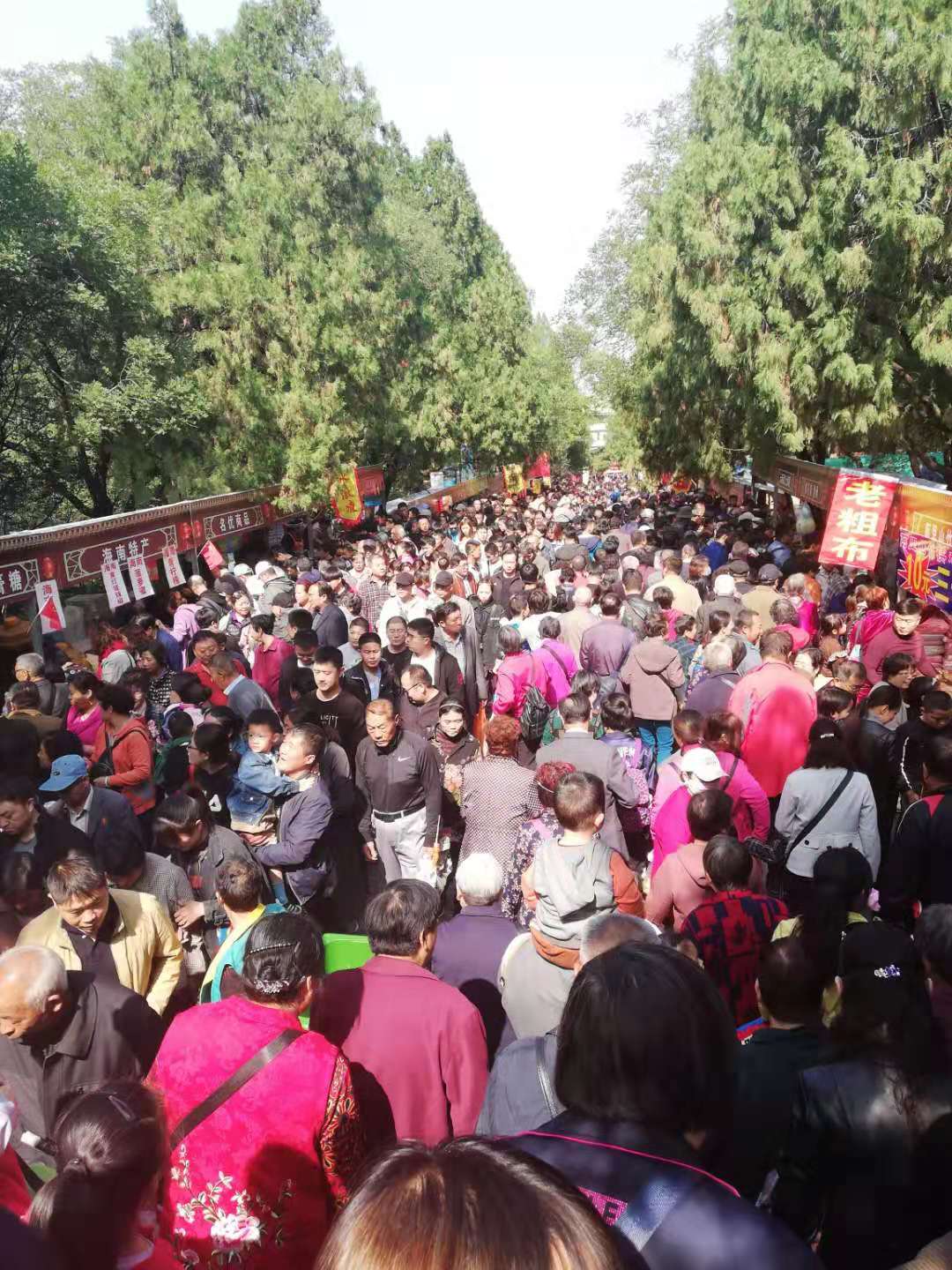 用户反馈截图