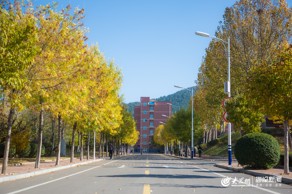 山东大学兴隆山校区秋色宜人