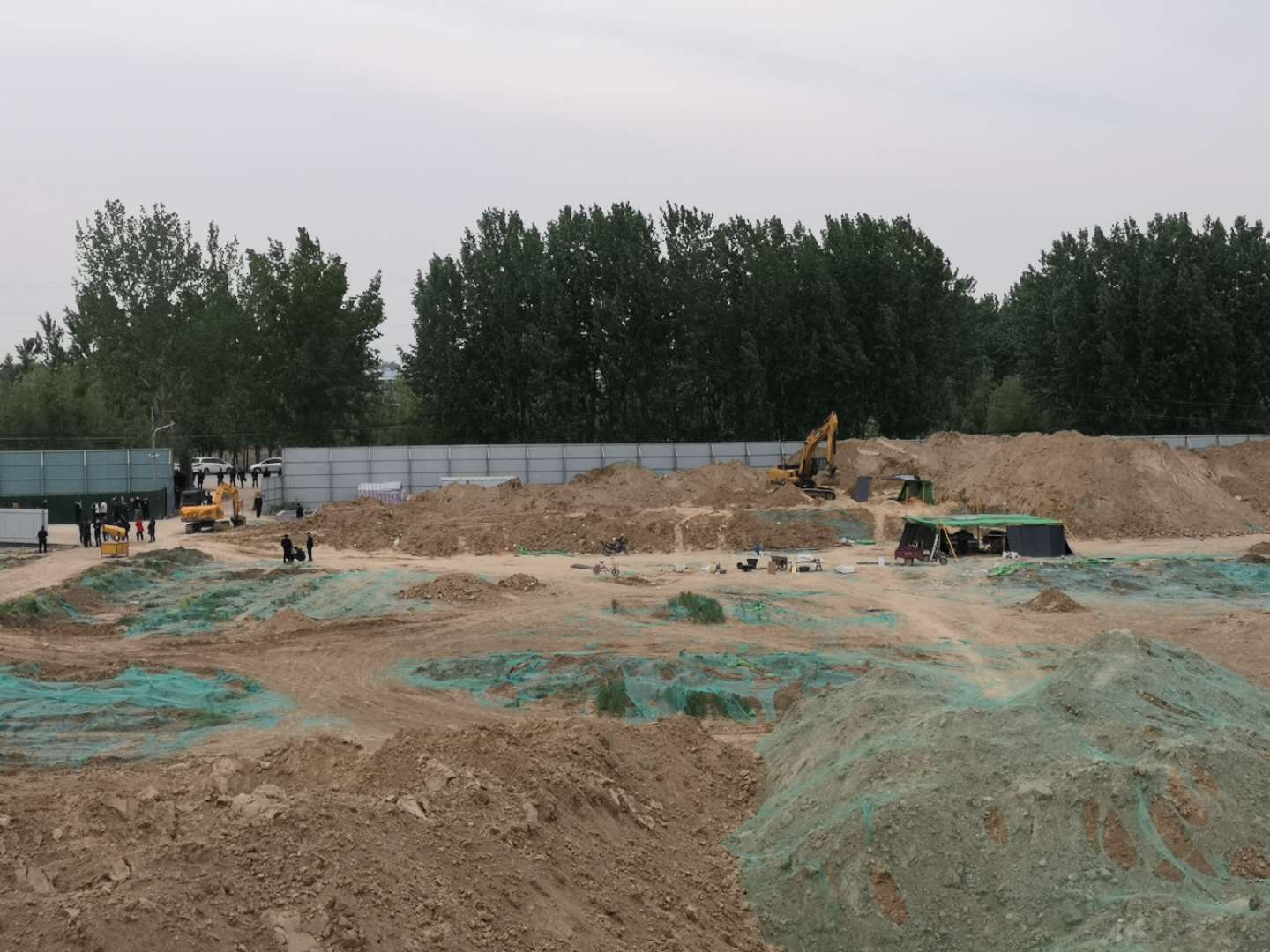 #海报直击#海报直击|河南原阳4男童被埋事件最新进展：家长同意尸检，遗体已运离现场