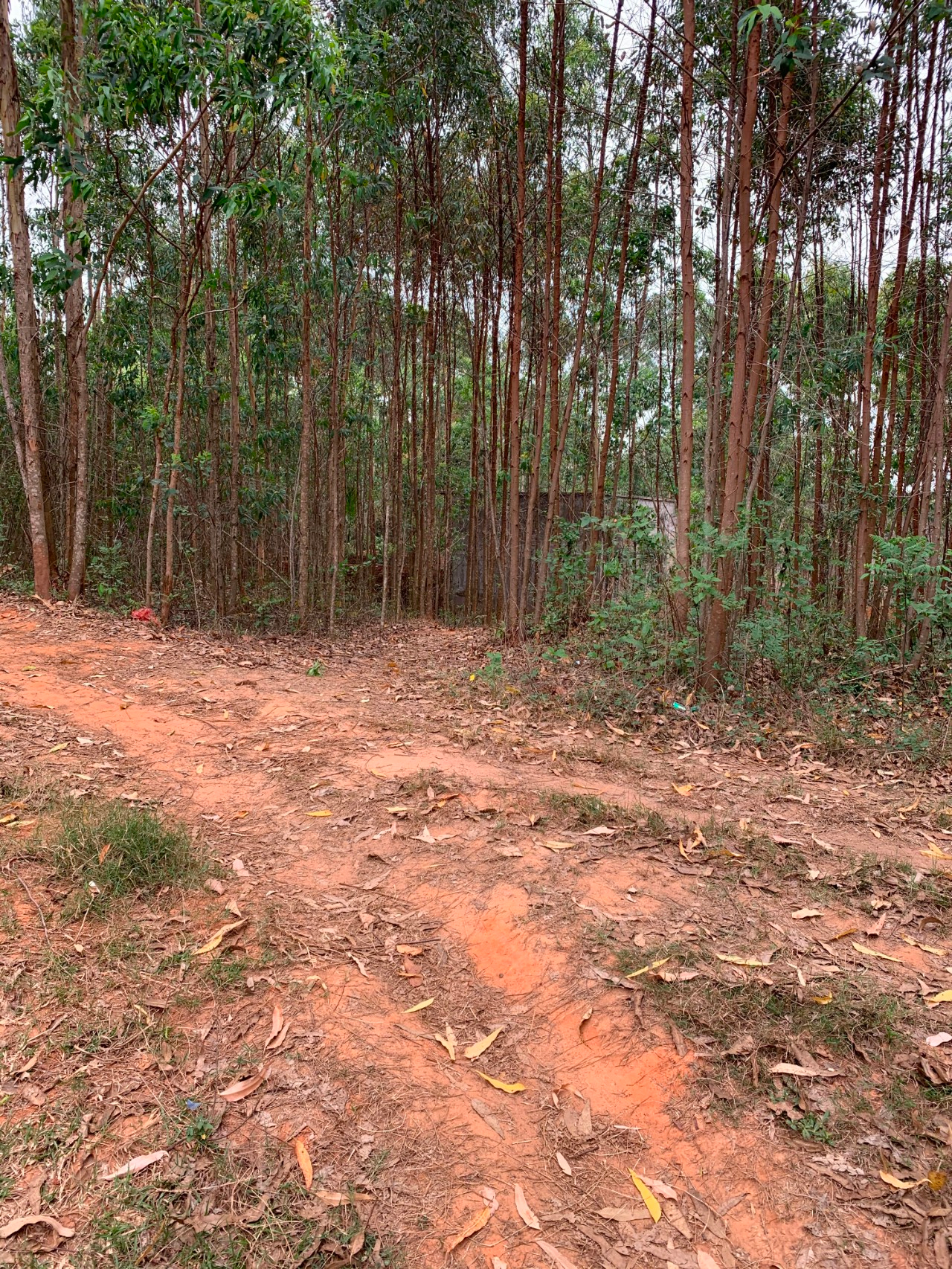 『海报直击▏广东雷州一男子杀人潜逃27年后被抓：改名换姓娶妻生子，躲在临县卖海鲜为生』海报直击▏广东雷州一男子杀人潜逃27年后被抓：改名换姓娶妻生子，躲在临县卖海鲜为生