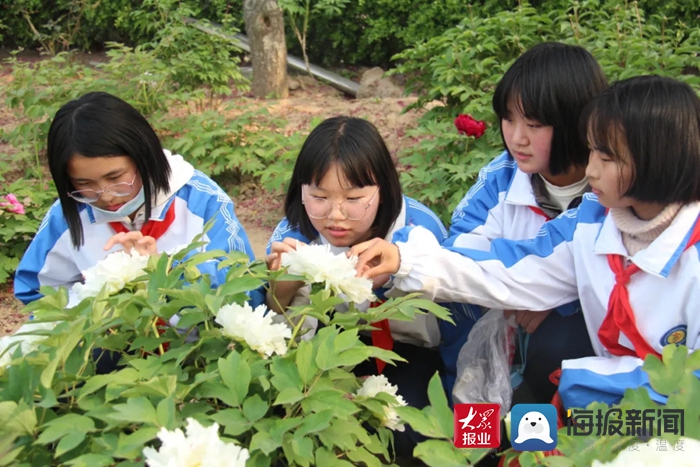 牡丹区各中小学共组织2000余名师生走进曹州牡丹园,国花牡丹园,研学