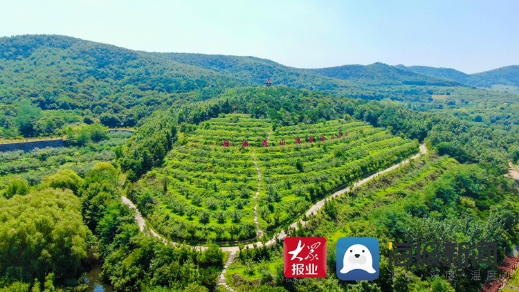 航拍莒县桑园镇风光 看乡村美景映入心田!