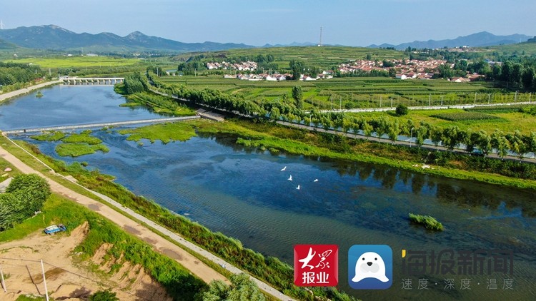 航拍莒县桑园镇风光 看乡村美景映入心田!