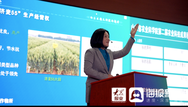 6000万第三次落锤！山东省农科院拍卖会标王诞生啦？