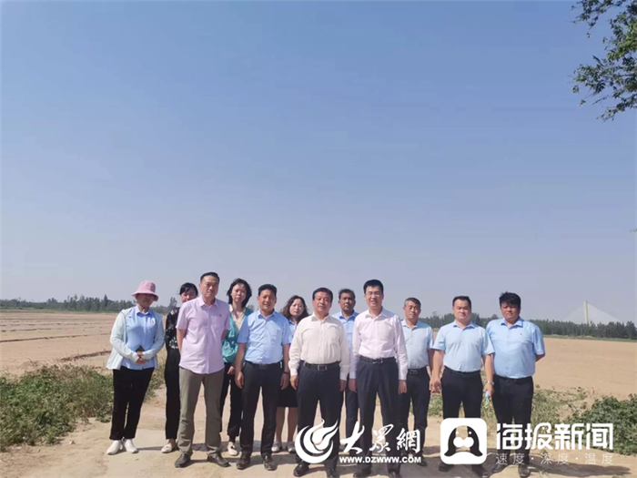 美里湖街道：曾经的“荒滩地”如今的“希望田”_槐荫区_大众网