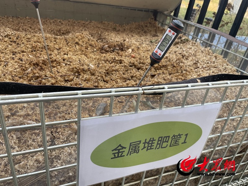 子洲县多点发力推进垃圾分类——全民携手共建绿色家园