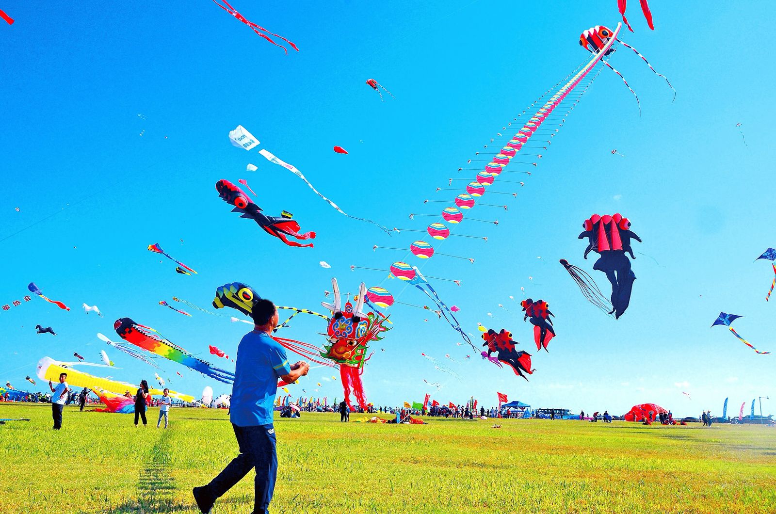 潍坊国际风筝会2022图片
